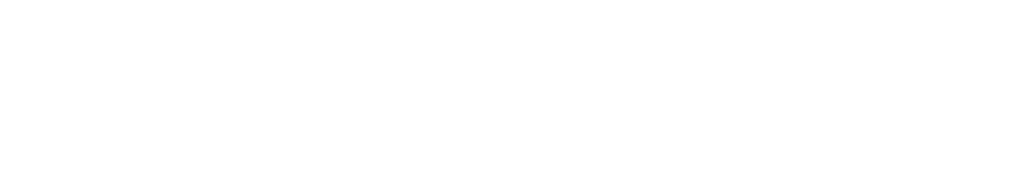 Rechtsanwalt Dr. Norbert Nowak